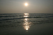 wp544618b9_0f.jpg